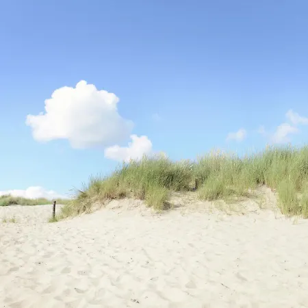 Vila Lavish In Julianadorp Aan Zee De Zandloper